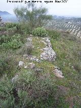 Oppidum del Cerro Algarrobo. Muralla ciclpea