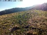 La Mella. Desde el Cerro de Cao Quebrado