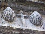 Orden de Santiago. Palacio de Don Francisco de los Cobos y Molina - beda