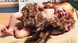 Homo neanderthalensis. Beb� neandertal. Paleom�gina - Bedmar