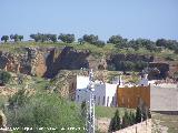 Canteras de Osuna. 