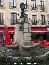 Fuente de la Plaza Virgen del Amparo. 