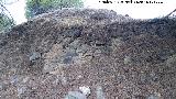 Vernica. Muro o muralla