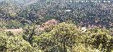 Cerro del Plomo. Vistas