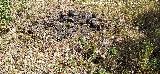 Cerro del Plomo. C�mulo de piedras