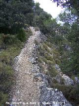 Camino de Herradura de La Nava. 