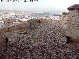 Castillo de la Villa. Torren Circular. Azotea