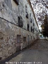 Palacio de los Marqueses de Viana. Fachada principal