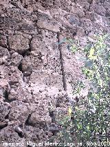 Castillo de Blmez. Saetera de la Torre del Homenaje desde el exterior