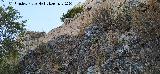 Tapial. Castillo de Zahara de la Sierra