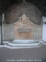 Fuente de la Calle Trascastillo. 