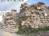 Torrecilla. 