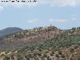 Castillo de Cabra de Santo Cristo. 