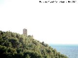 Torre de Maro. 