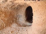 Casas Cueva de Pegalajar. Interior