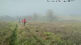 Niebla. Ojod del Guadiana - Daimiel