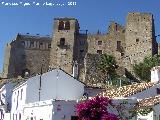 Alczar de los Condes de Castellar. 