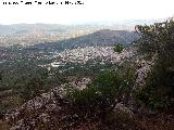 Castillo de Locubn. Desde La Camua