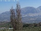 Cerro Cuevas del Aire. 