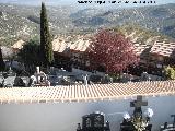 Cementerio de Albanchez de Mgina. 