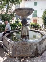 Fuente de la Plaza del Carmen