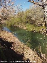 Ro Guadalquivir. A su paso por Villanueva de la Reina