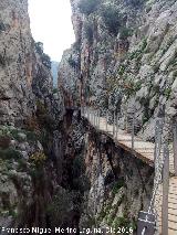 Caminito del Rey. En su tramo del Gaitanejo