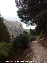 Caminito del Rey. Tramo del Valle del Hoyo