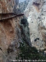 Caminito del Rey. En el Desfiladero de los Gaitanes