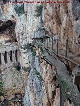 Caminito del Rey. Camino viejo y camino nuevo en el Desfiladero de los Gaitanes