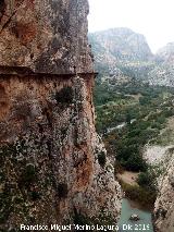 Caminito del Rey. En el Desfiladero de los Gaitanes