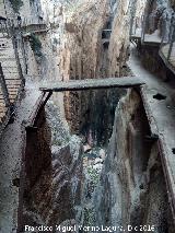 Caminito del Rey. Atajo en el viejo camino