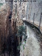 Caminito del Rey. Camino viejo y camino nuevo en el Desfiladero de los Gaitanes