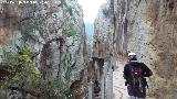 Caminito del Rey. en el Desfiladero del Gaitanejo