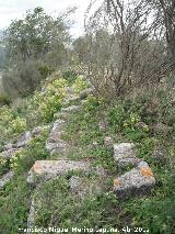 Bobastro. Alczar. Muralla