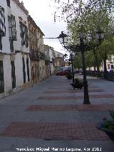 Paseo Doctor Revuelta. 