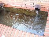 Fuente de la Alhambra. Caos