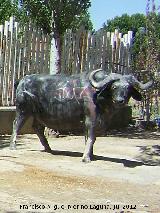 Animales de la Avenida de Amrica. Bfalo