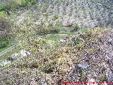 Castelln de Cazalla. Altura