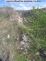 Castelln de Cazalla. Restos de muros