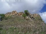 Castelln de Cazalla. 