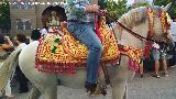 Fiestas de Moros y Cristianos. Caballo engalanado