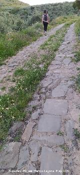 Calzada de la Venta. 