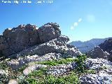 Cerro Castelln. Cumbre