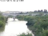 Puente de San Rafael. 