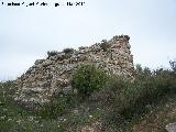 Torren del Cerro Algarrobo. 