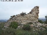 Torren del Cerro Algarrobo. 