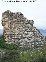 Torren del Cerro Algarrobo. 