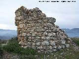 Torren del Cerro Algarrobo. 