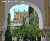 Mezquita Catedral. Soportales. Patio de los Naranjos desde los soportales